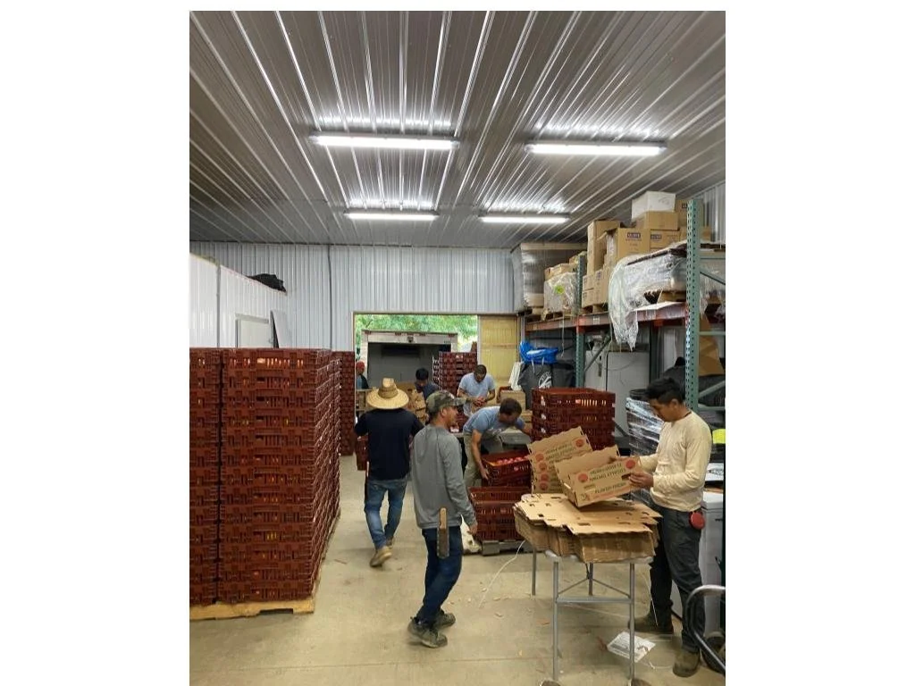 Summer 2025 CSA Newsletter - September 2, 2025 (Week 15)