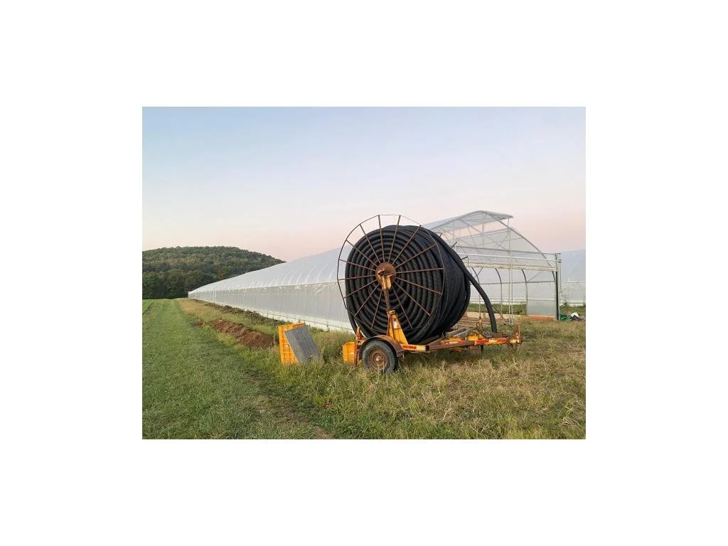 Summer 2025 CSA Newsletter - September 30, 2025 (Week 19)