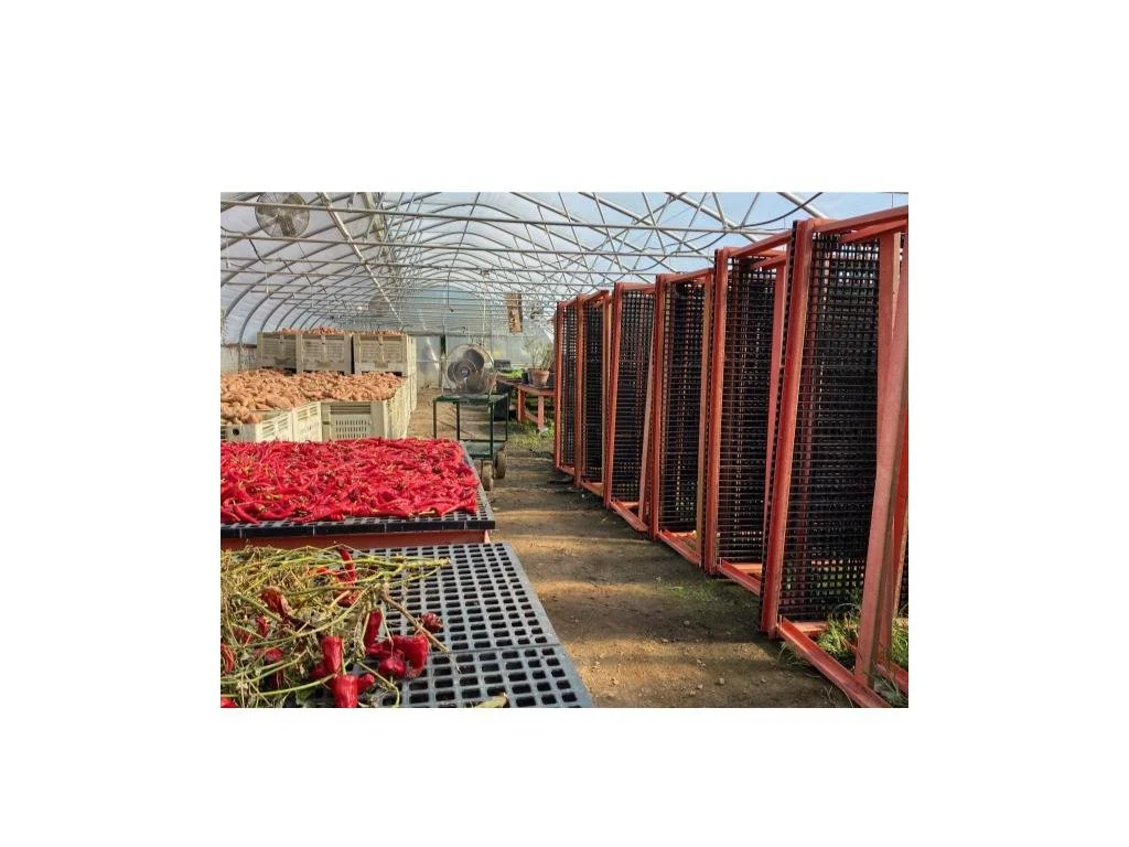 Summer 2025 CSA Newsletter - October 14, 2025 (Week 21)