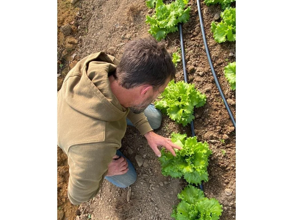 Summer 2025 CSA Newsletter - November 4, 2025 (Week 24)