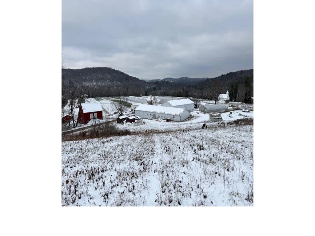 Fall 2025 CSA Newsletter - December 9, 2025 (Week 5)