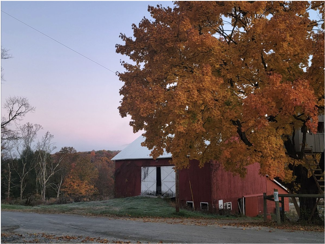 Summer CSA Newsletter: October 22, 2024 (Week 22)