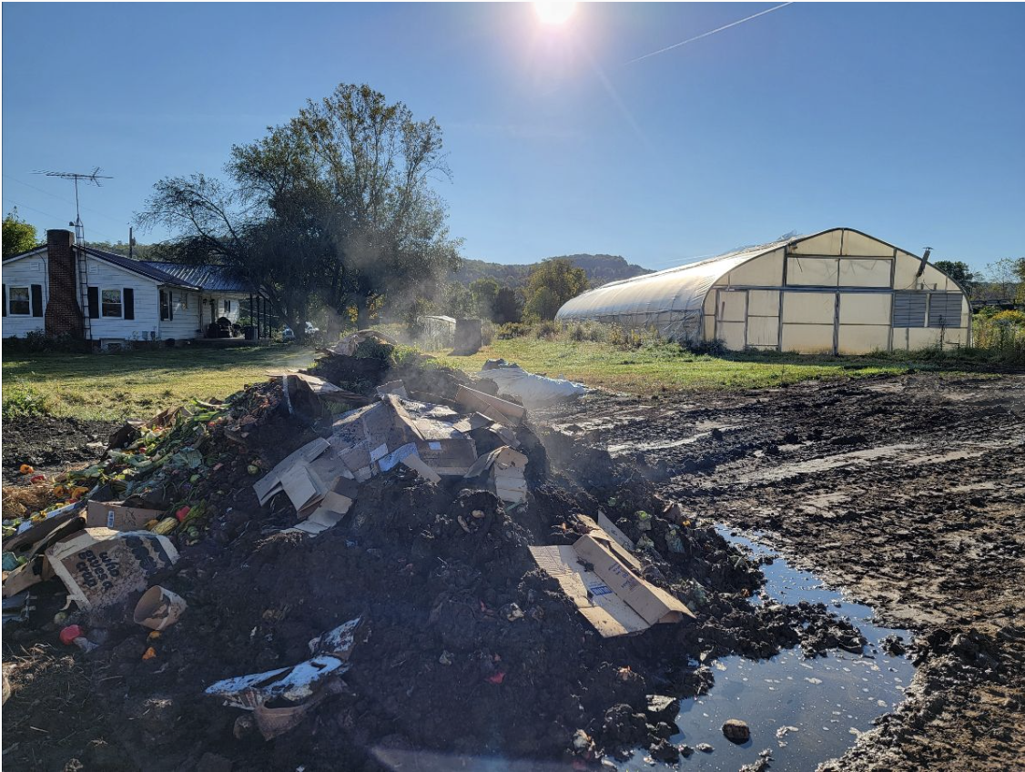 Summer CSA Newsletter: November 5, 2024 (Week 24)