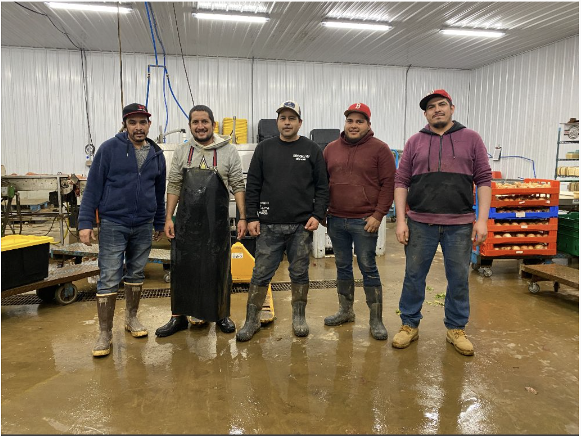 Fall CSA Newsletter: November 26, 2024 (Week 3)