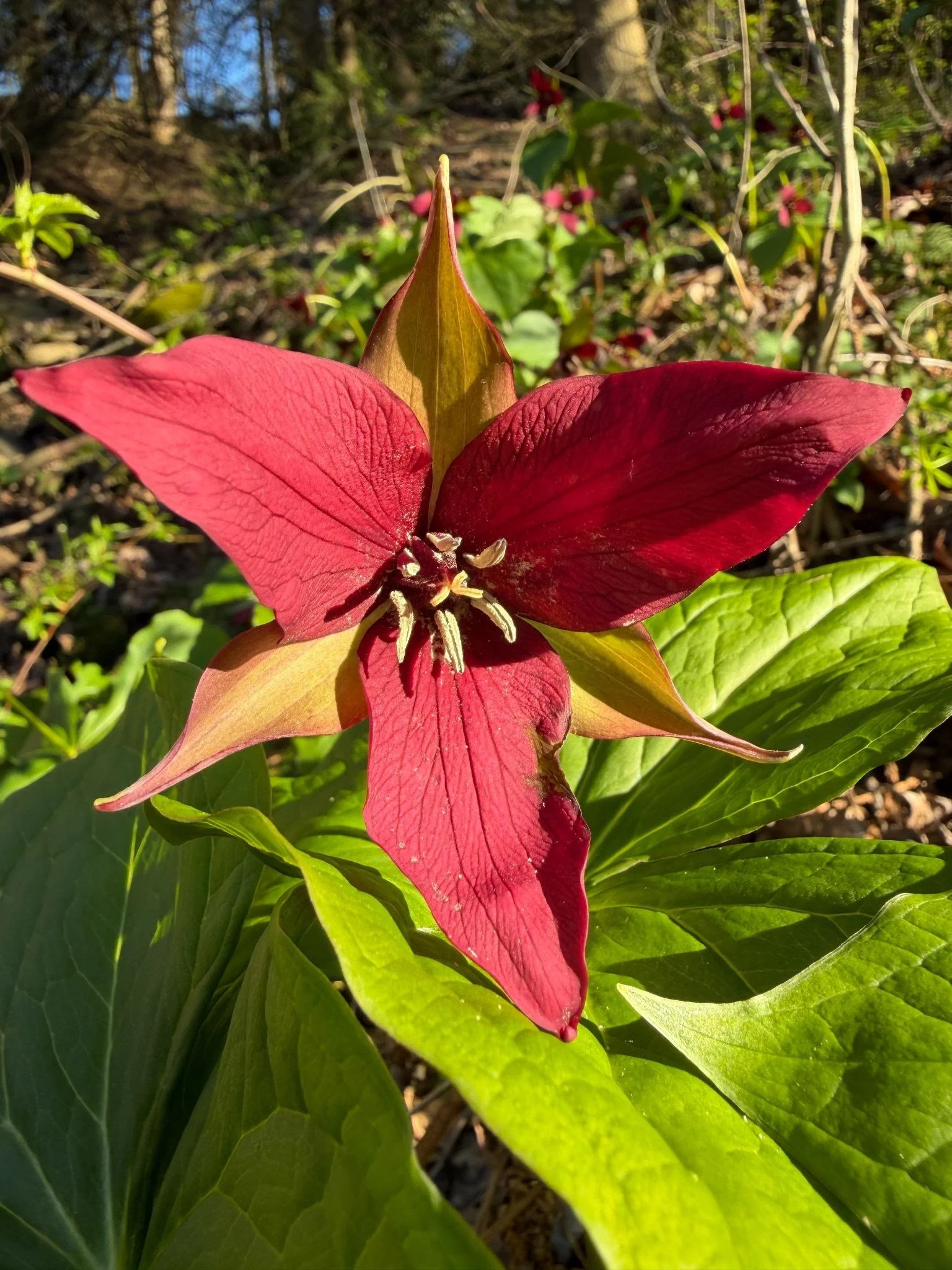 Spring 2026 Week 2 Newsletter