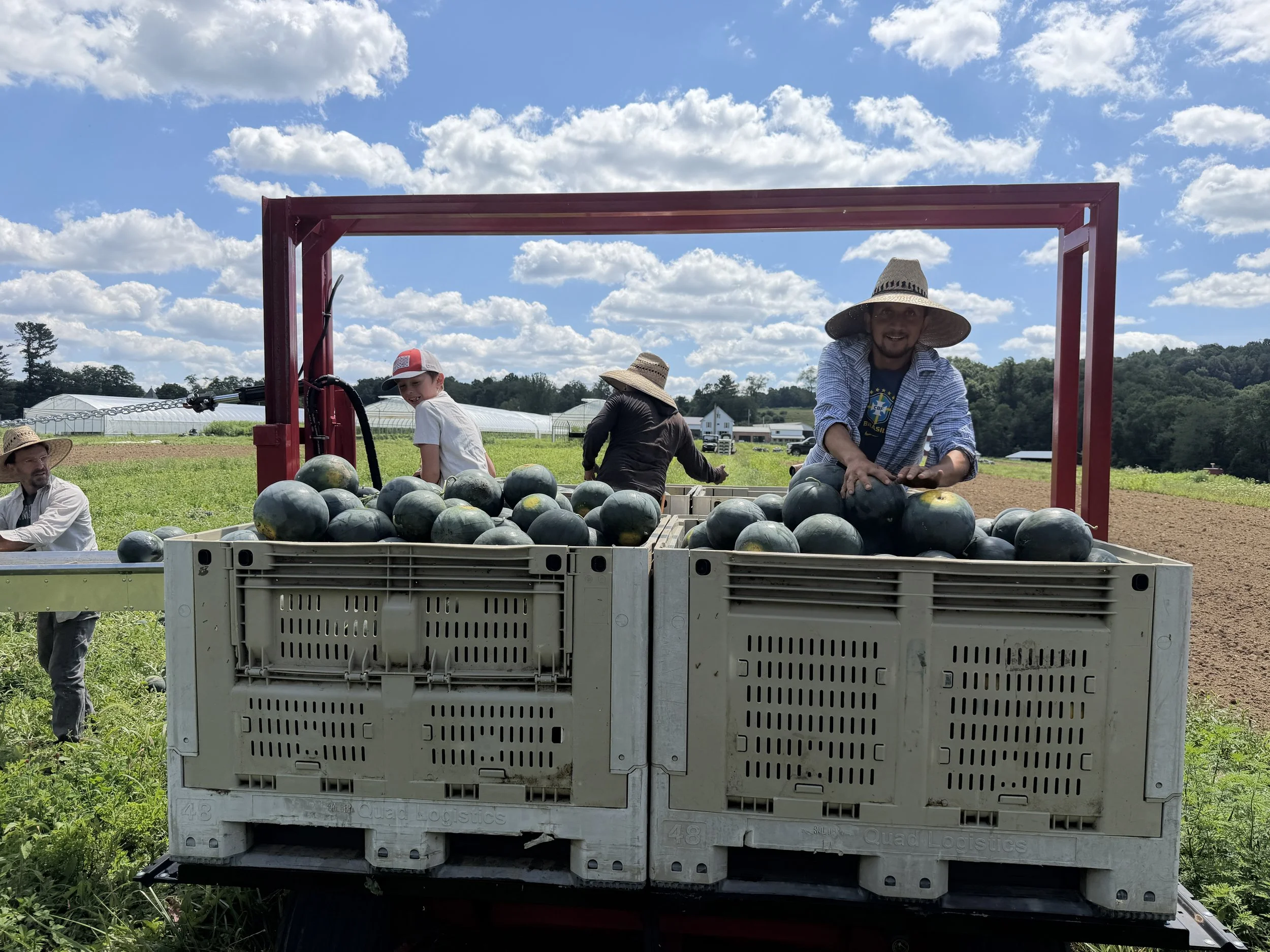 Summer 2026 Week 11 Newsletter