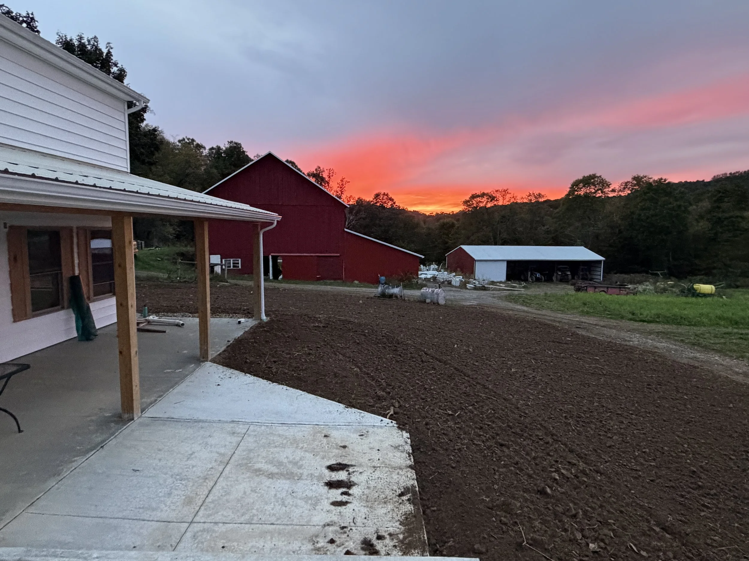 Summer 2026 Week 20 Newsletter