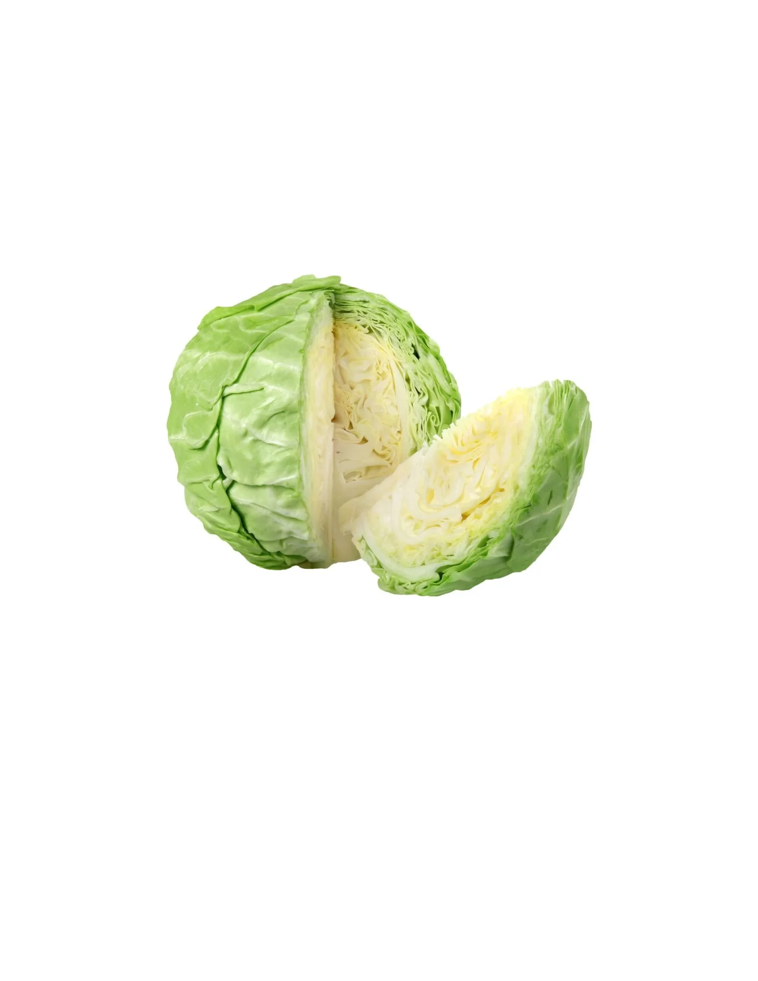 Cabbage
