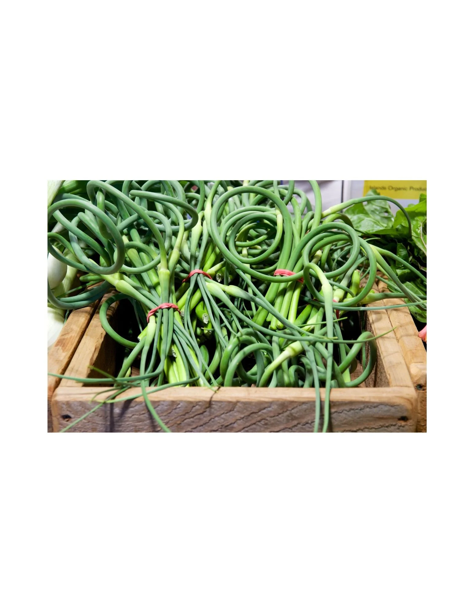 Garlic Scapes — Who Cooks For You Farm