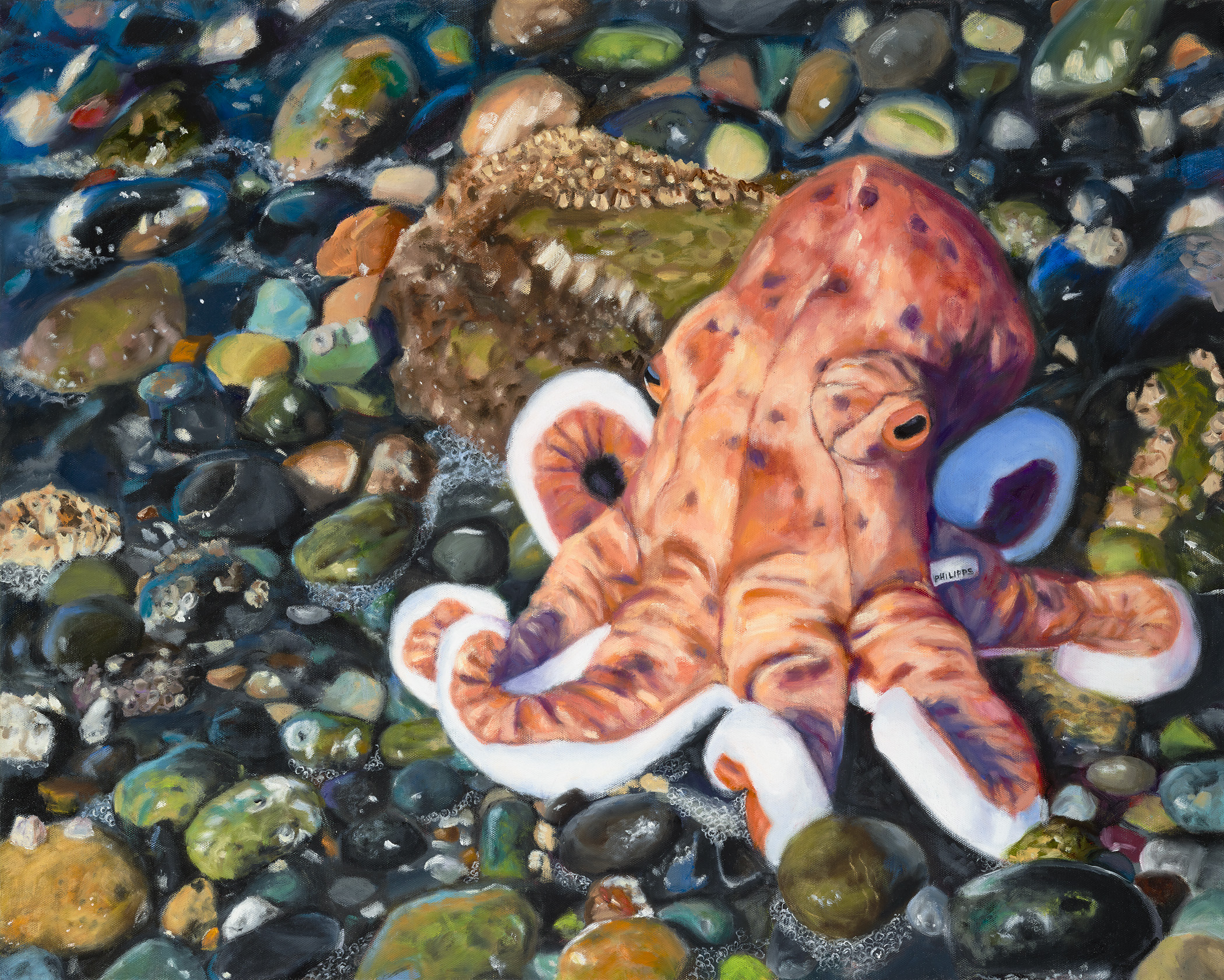 "Last Call: Giant Pacific Octopus", Oil on Gallery Wrapped Canvas, copyright Lisa Philipps, 2019.