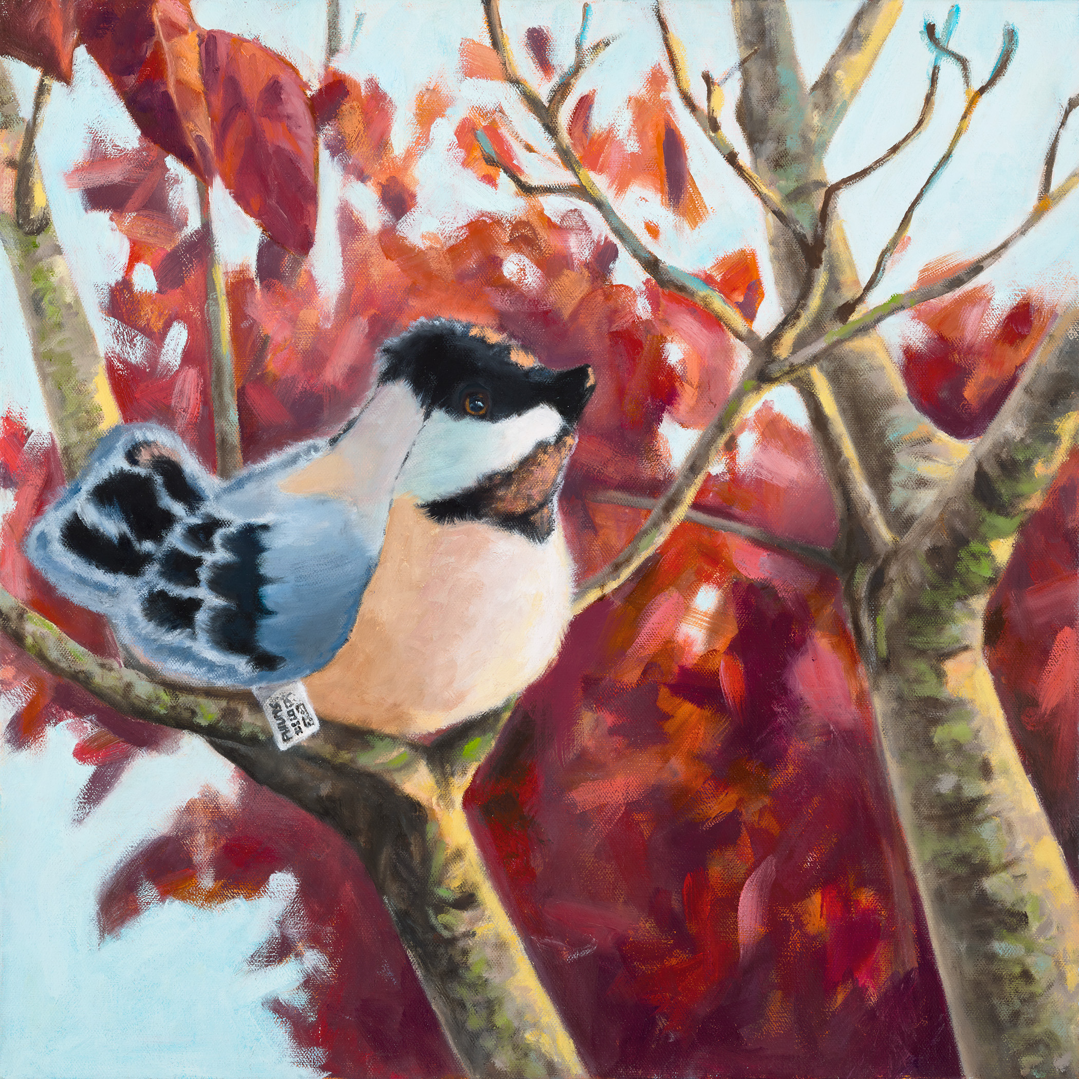 "Last Call" Chickadee", Oil on Gallery Wrapped Canvas, copyright Lisa Philipps, 2018.