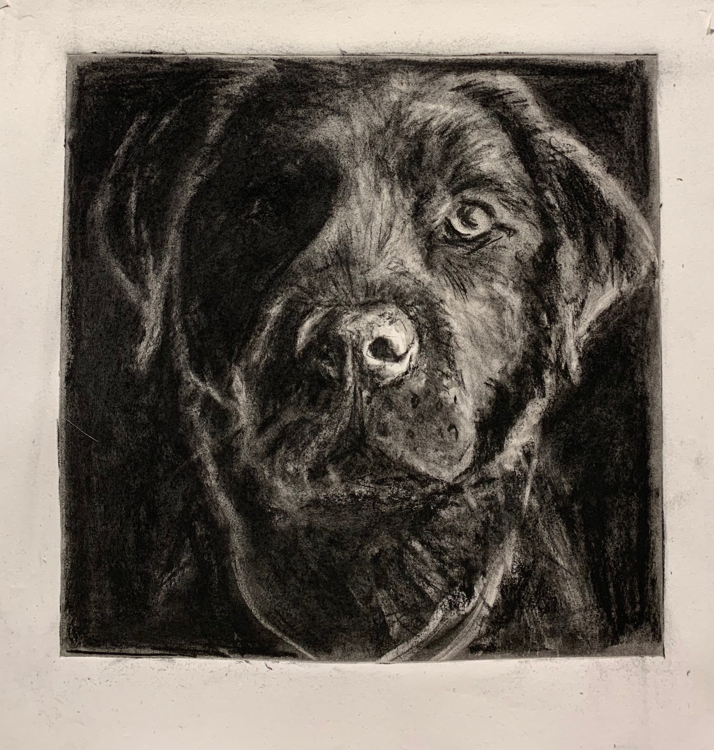"Best Friend", Monoprint and Charcoal, 2019.