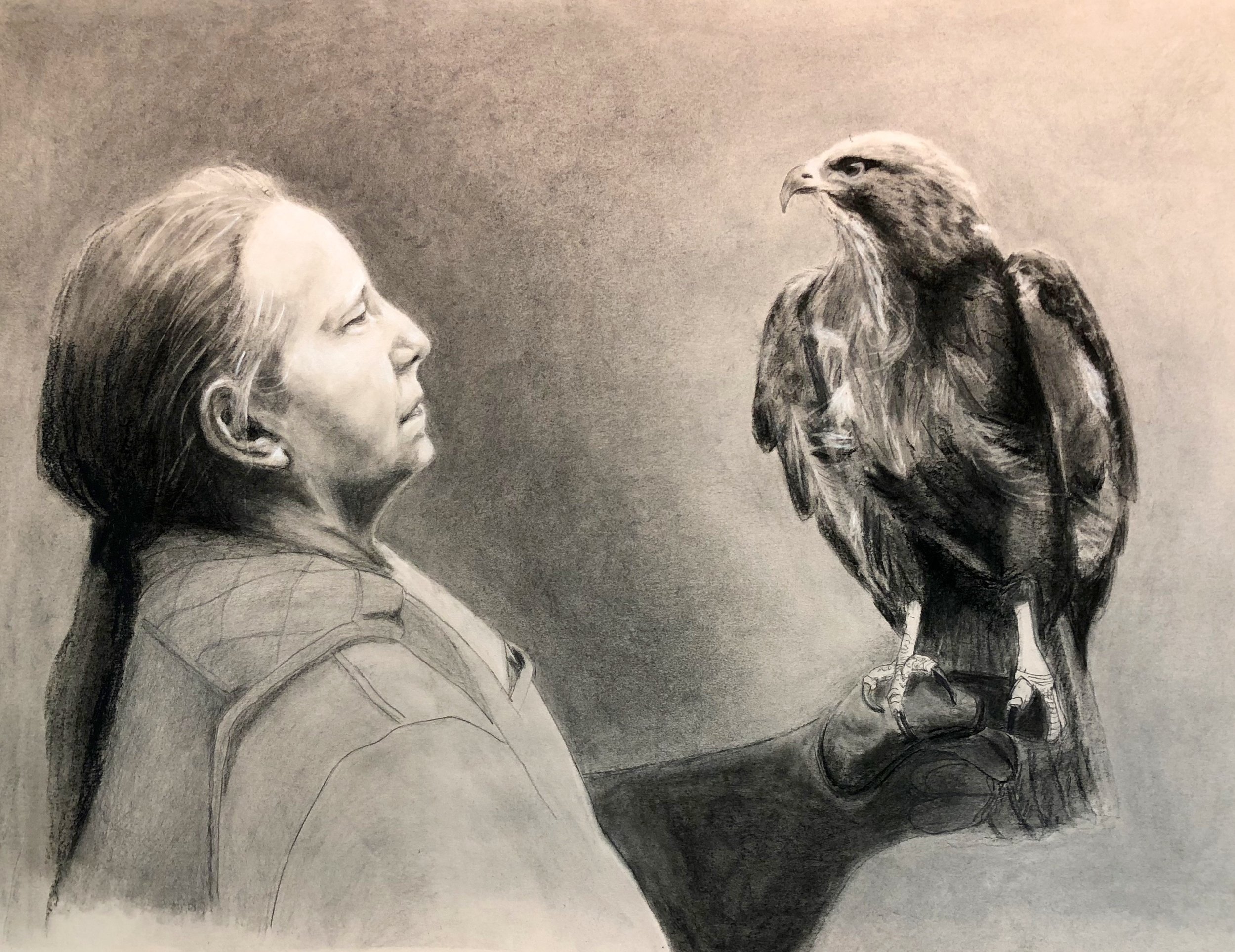 Women in Wildlife Rehabilitation: with the Peregrine Falcon