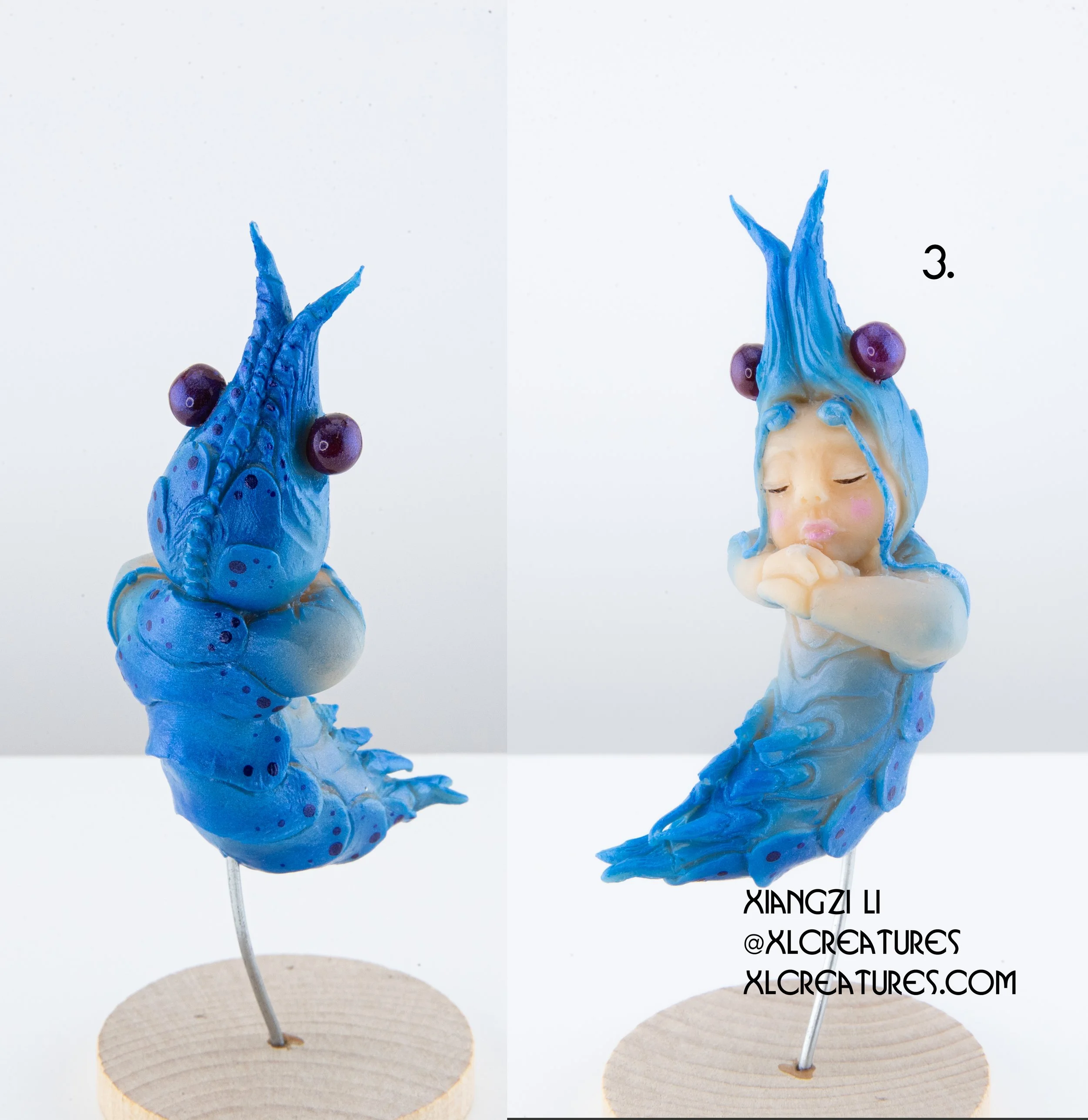 shrimp baby 3.jpg