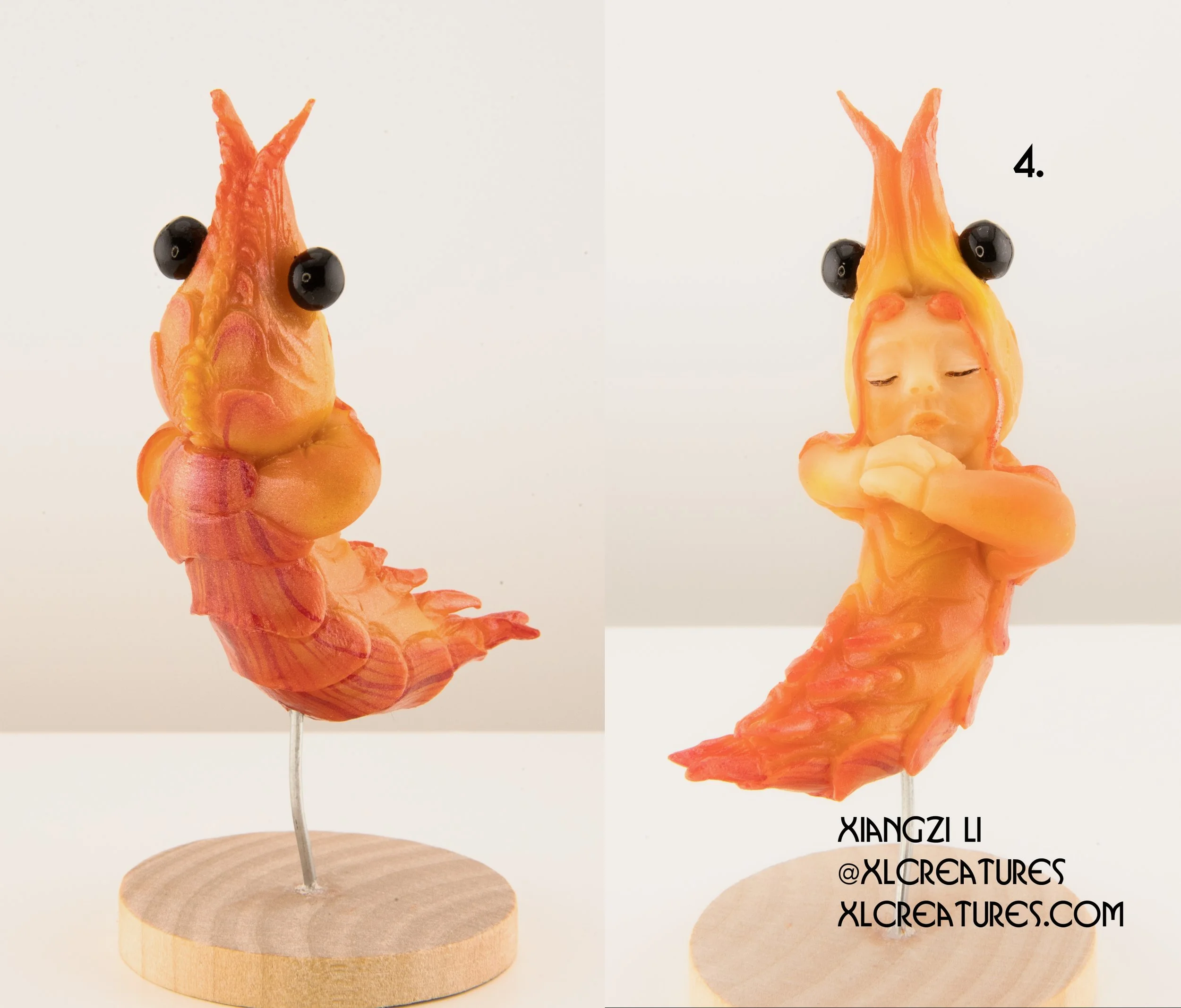 shrimp baby 4.jpg