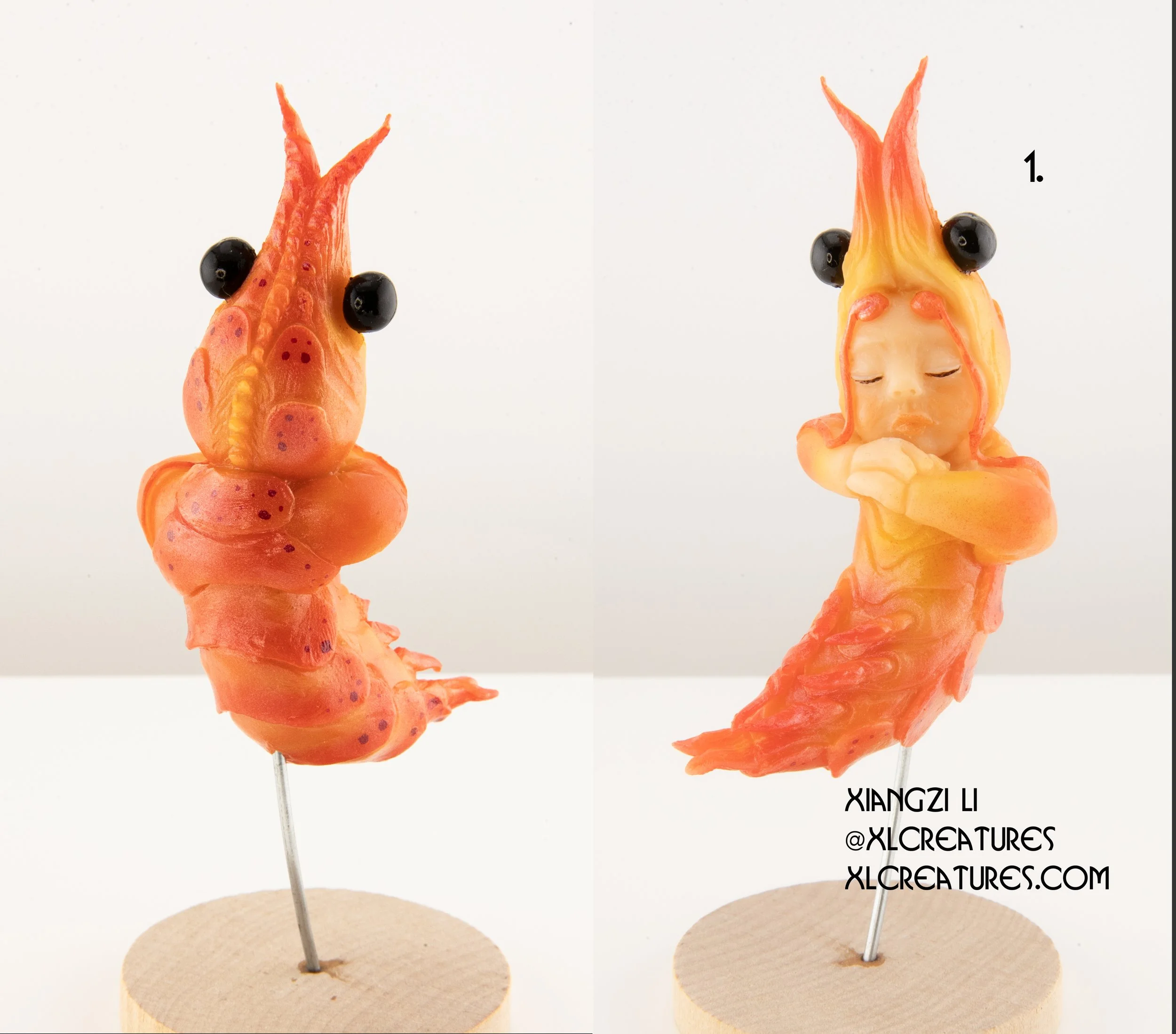 shrimp baby 1.jpg