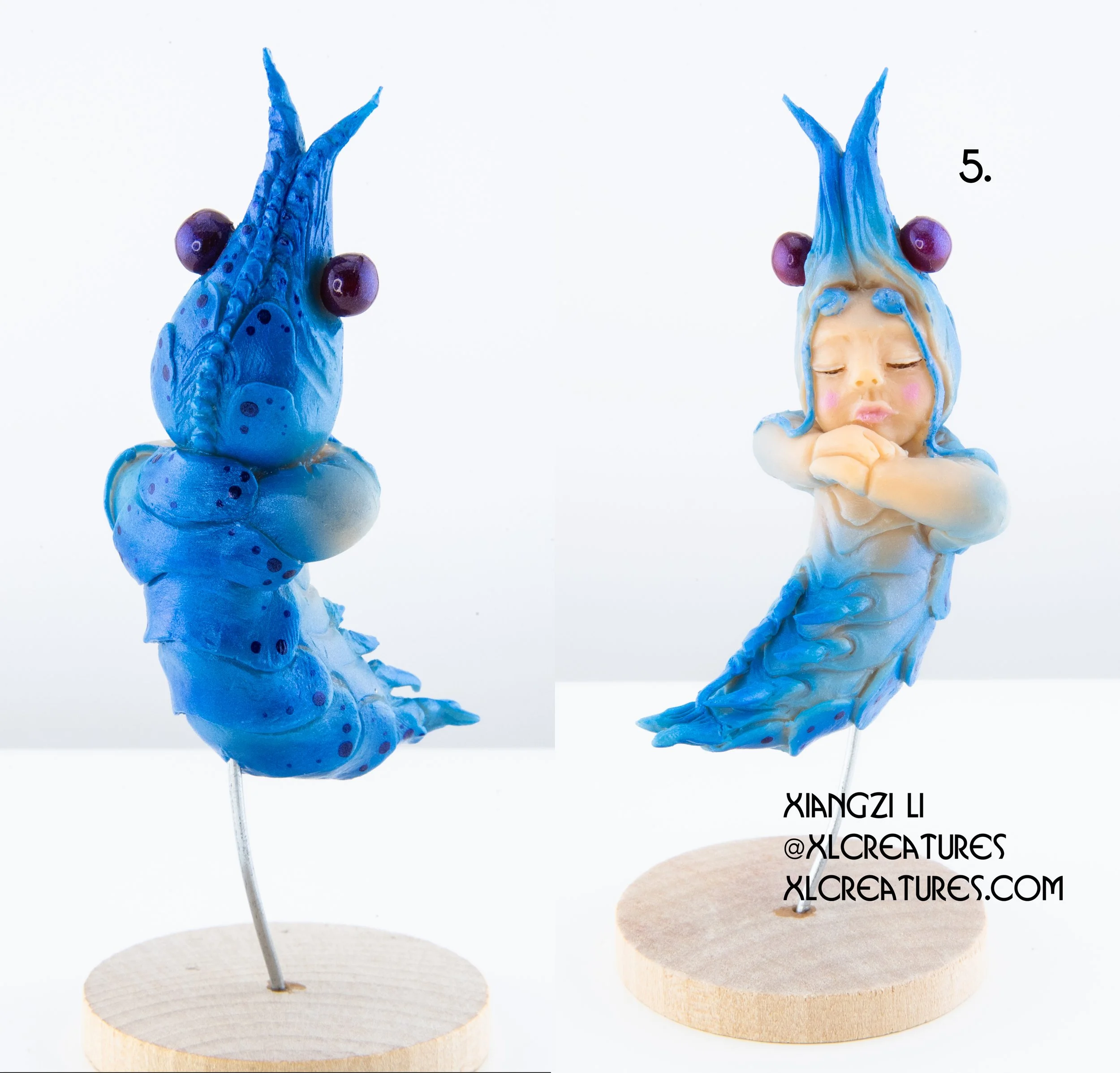 shrimp baby 5.jpg