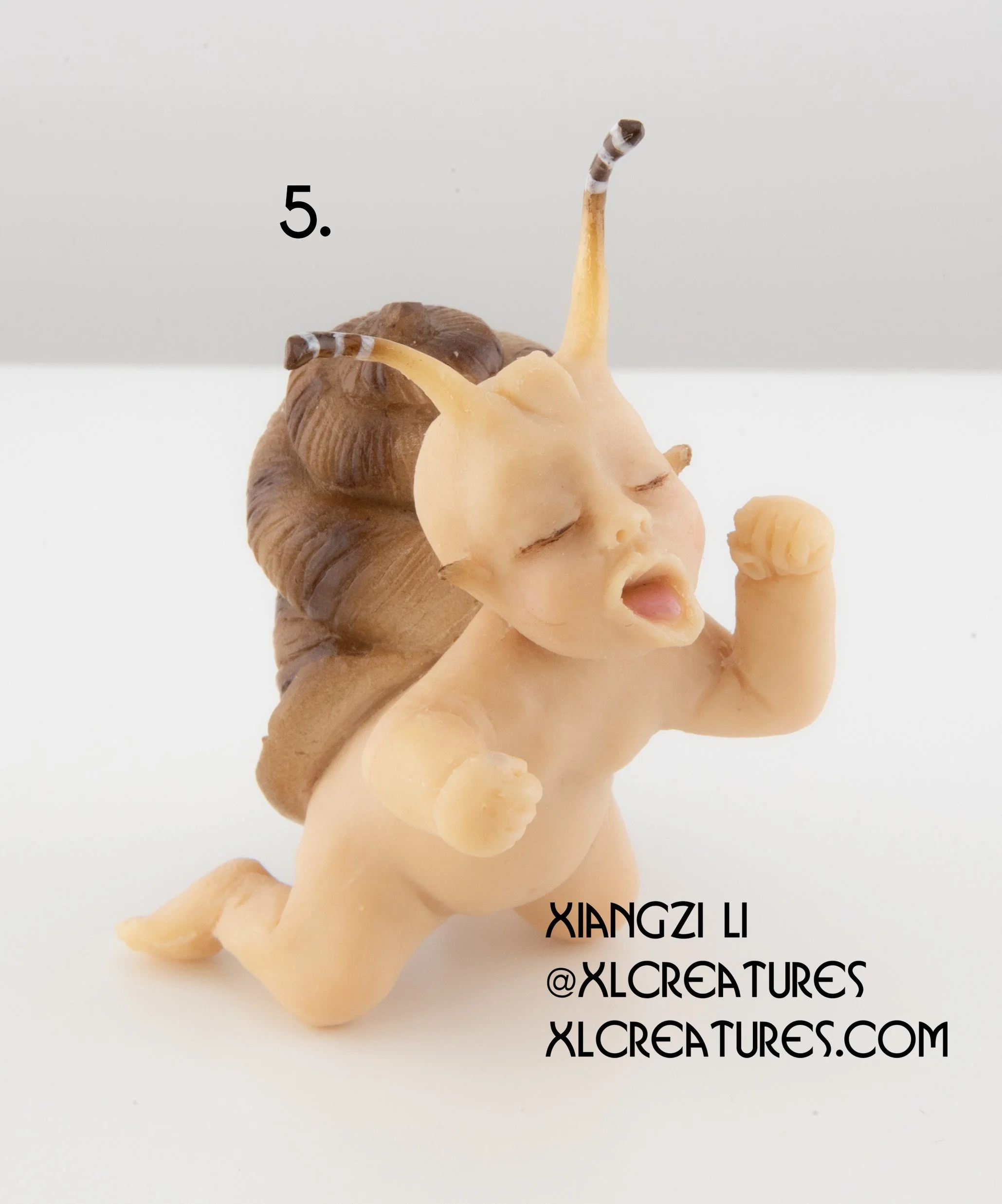 snail baby 5.1 copy.jpg