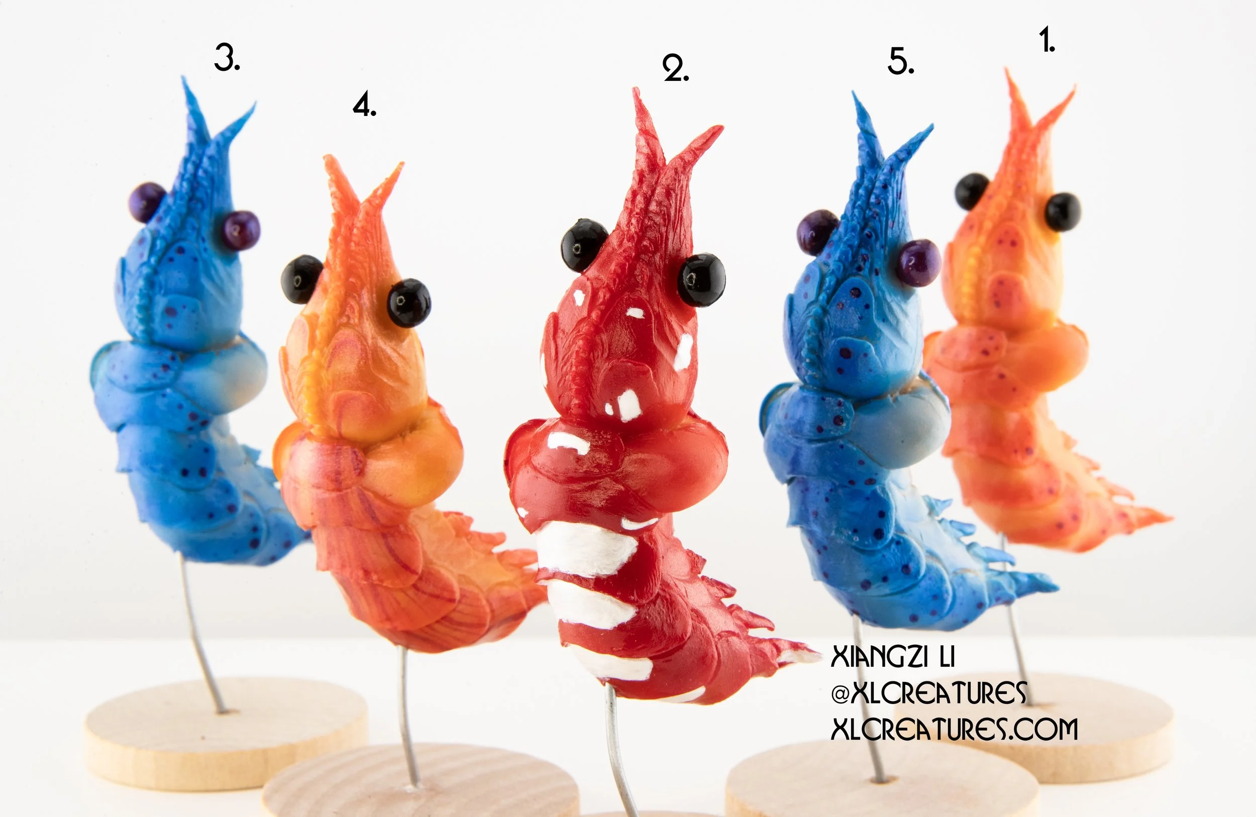 shrimp baby group 1.2 copy.jpg