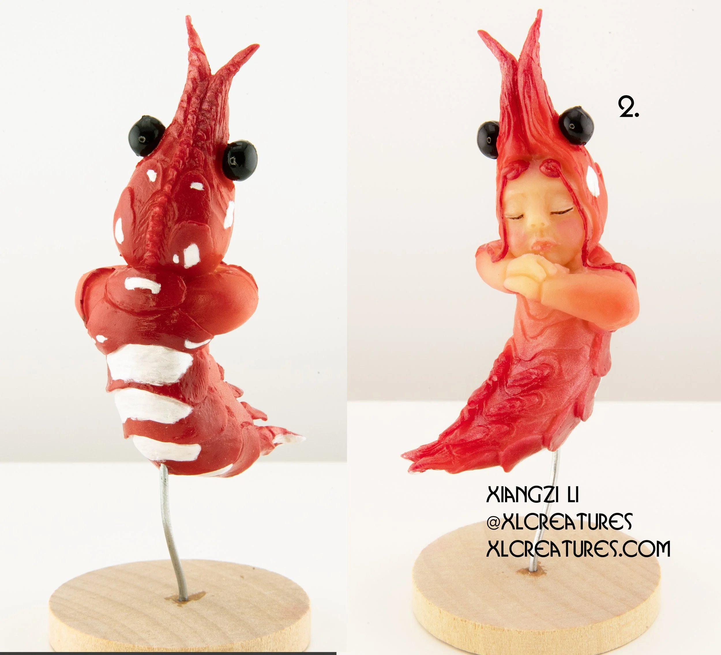 shrimp baby 2.jpg