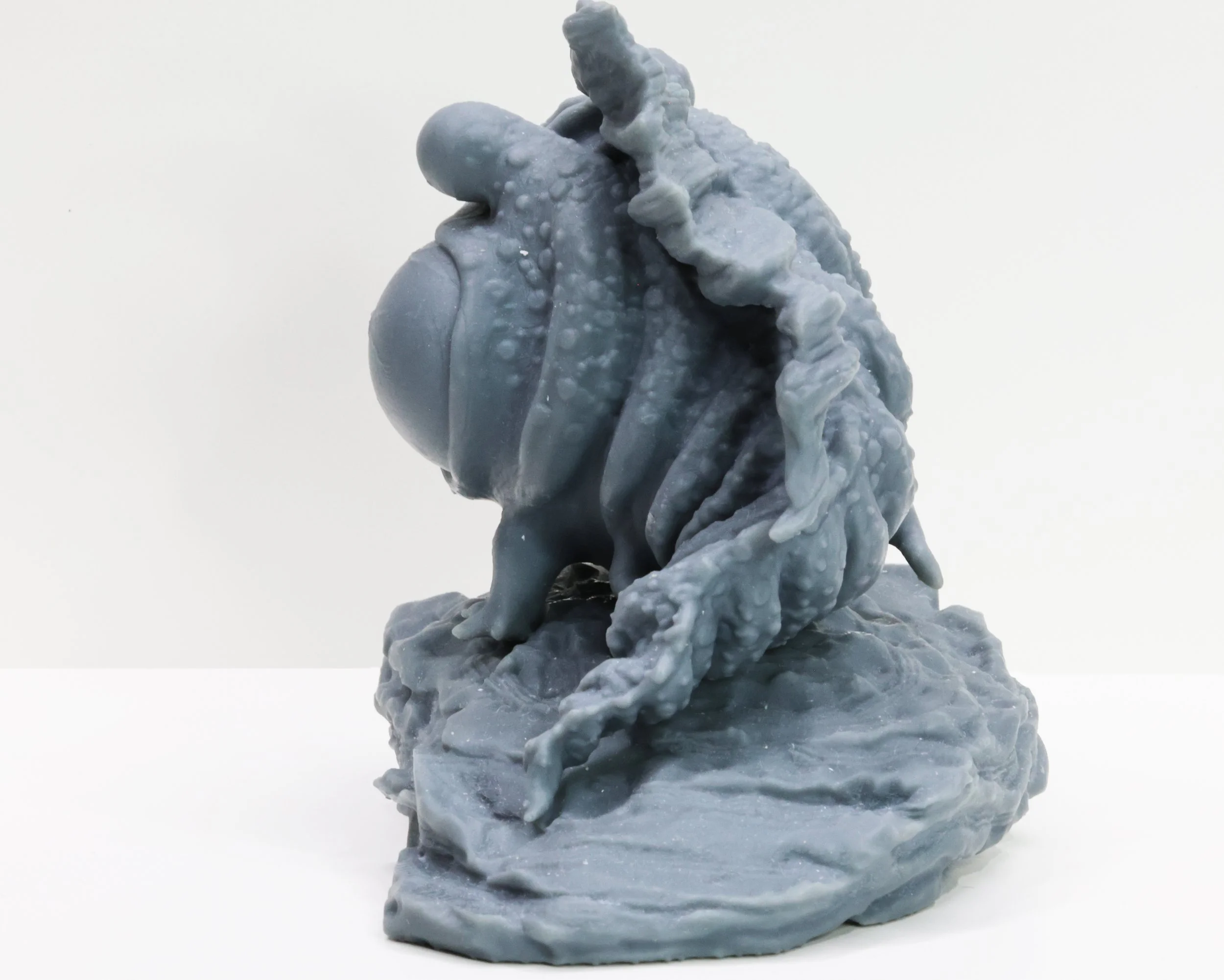 goo-fish blank back.jpg