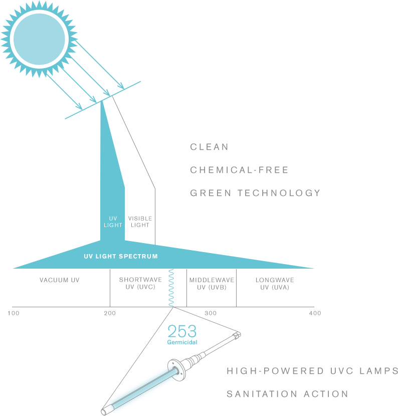 diagram.png