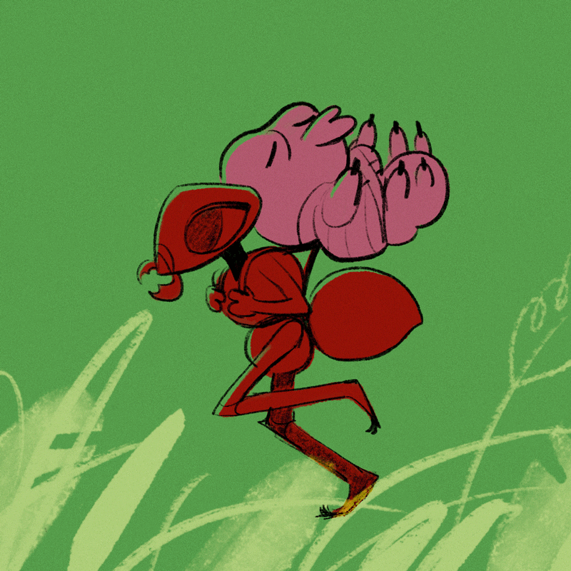 ANIM_ANTgrub_v2_800px.gif