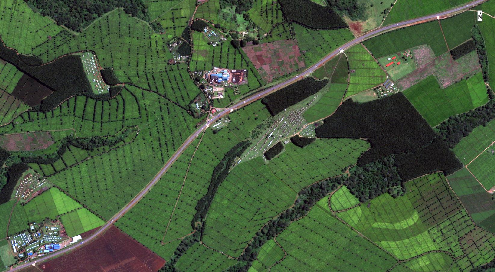 AI scans satellite images for farms that dispose of waste illegally.