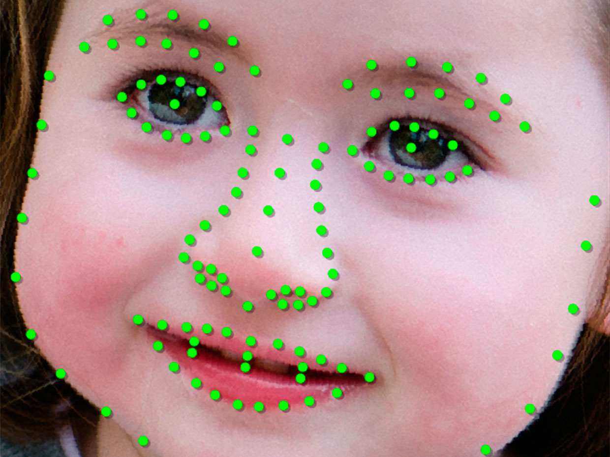 How the AI interprets scanned faces.