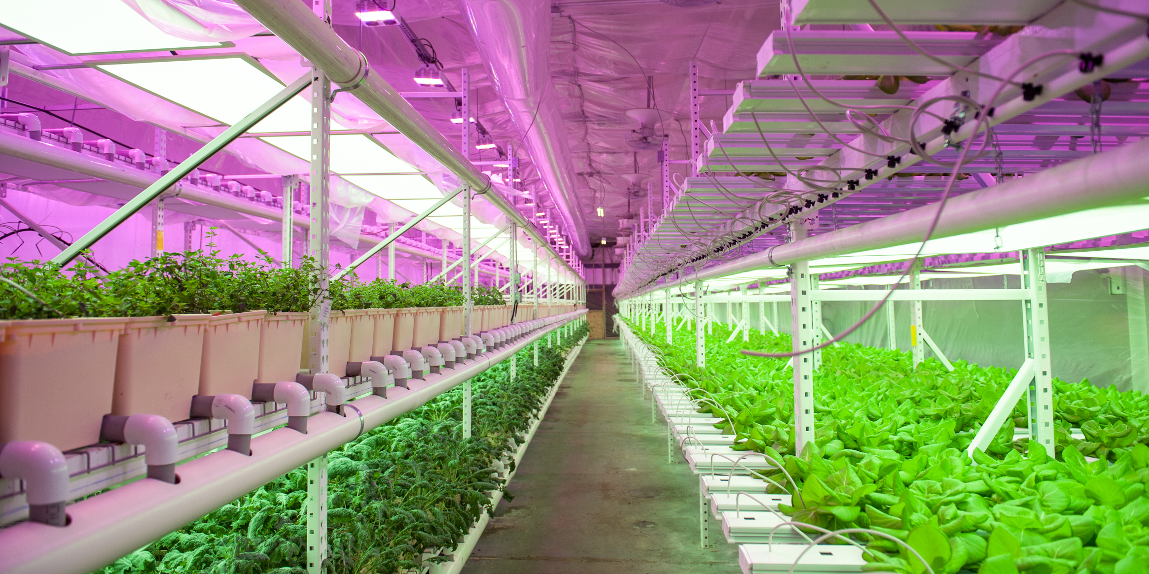 When you tell your grandchildren about your trips to your granddad’s farm, this is what they’ll imagine.
