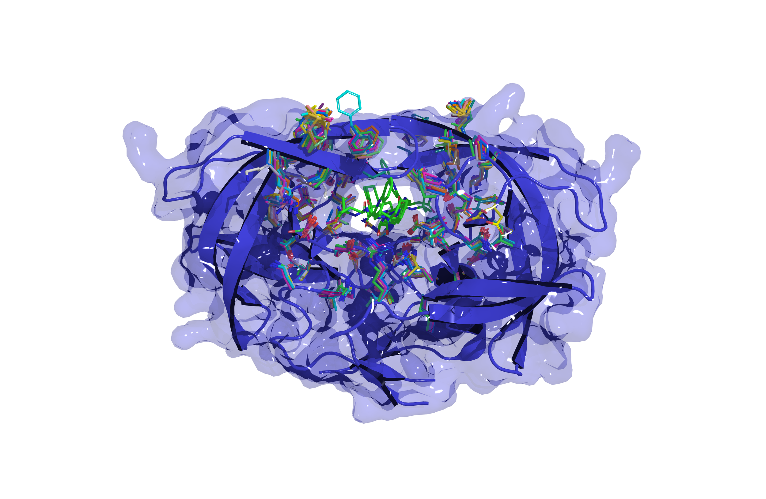 The folding sequence of a protein determines its specific functions.