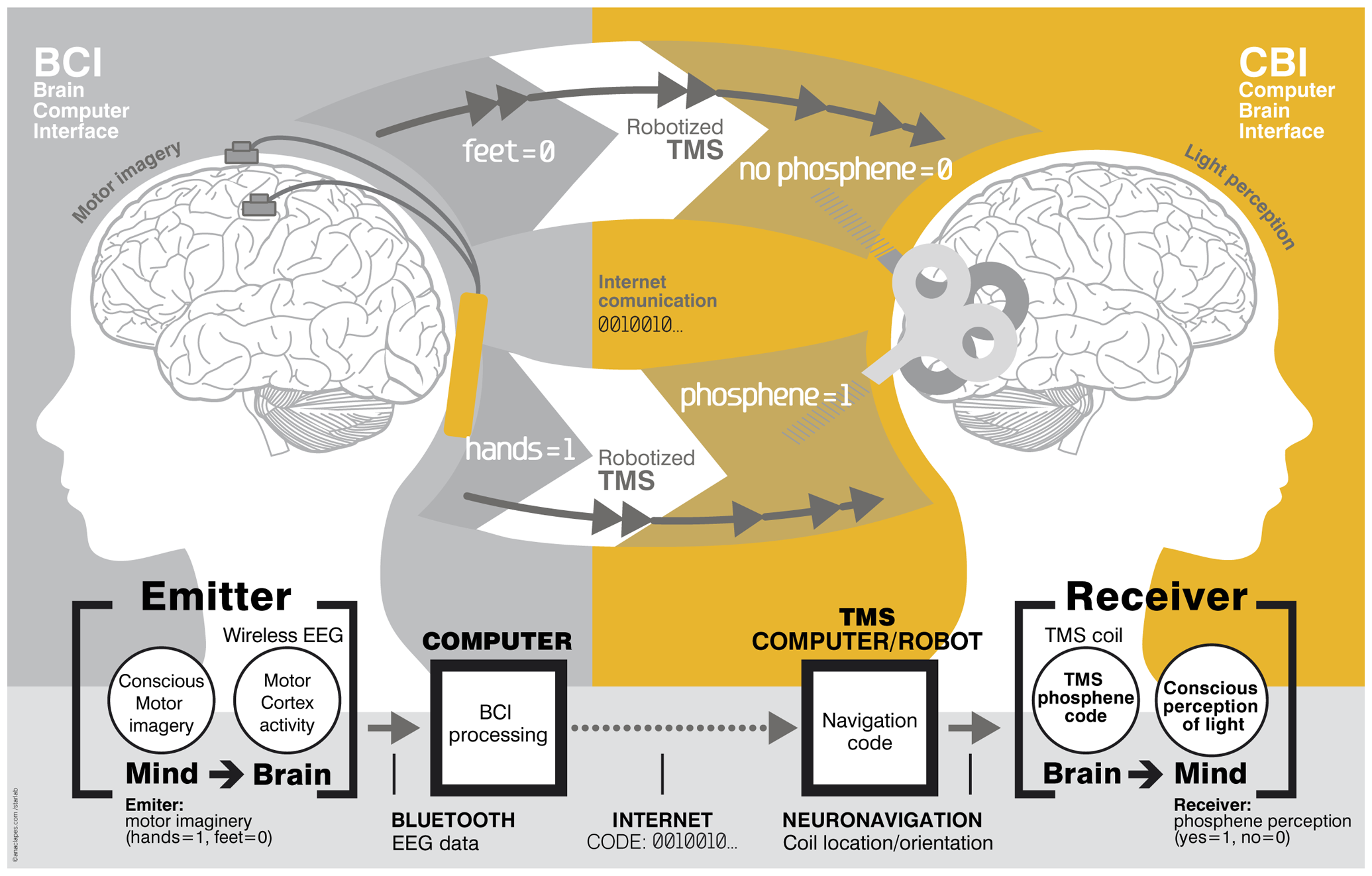 A proposed brain to brain communication model, allowing for yes or no wireless communication between minds.