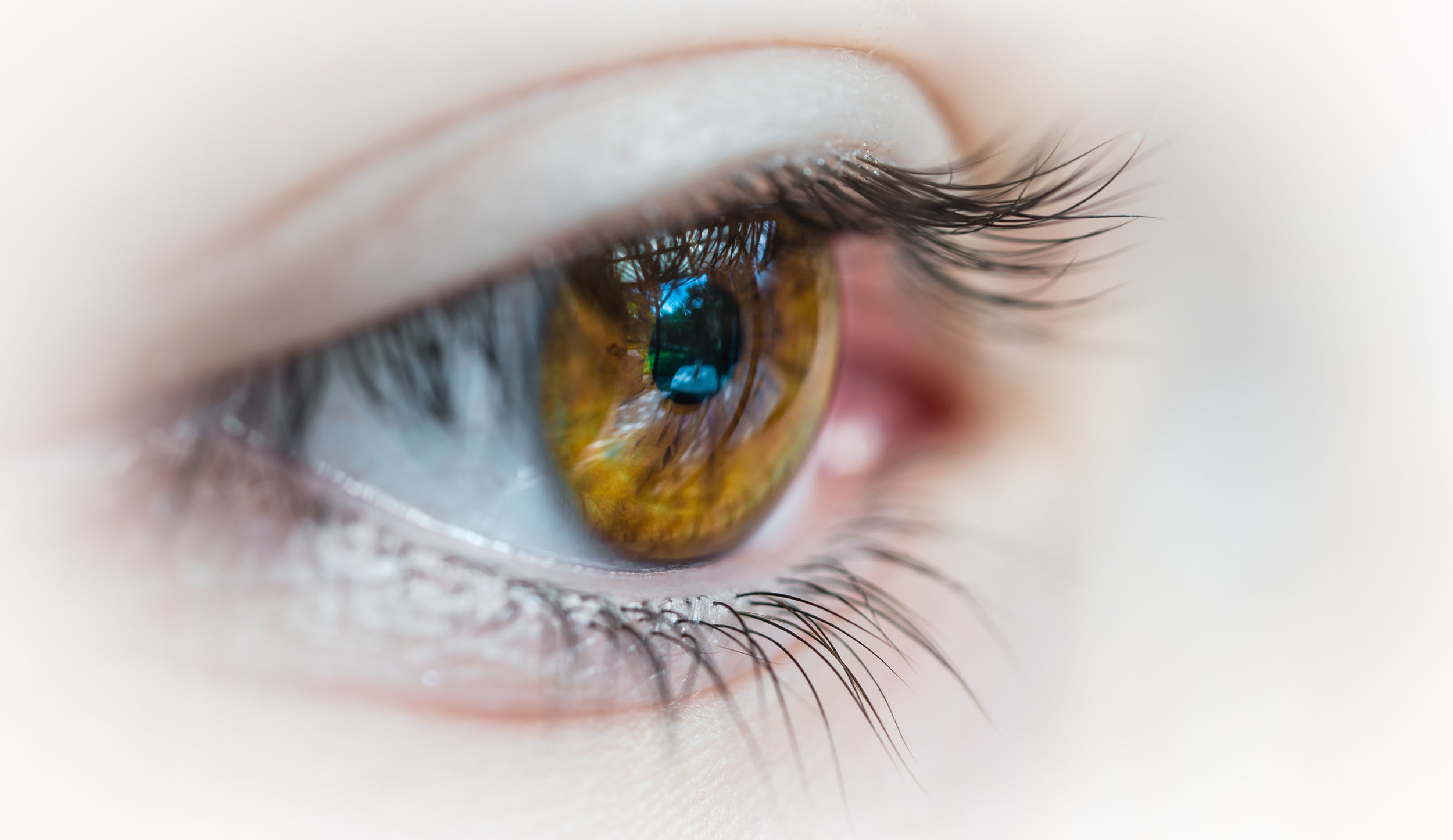 The eyes are part of the face so they naturally have micro-expressions like the rest of the face that can give us an insight into exactly how a human responds to seeing text