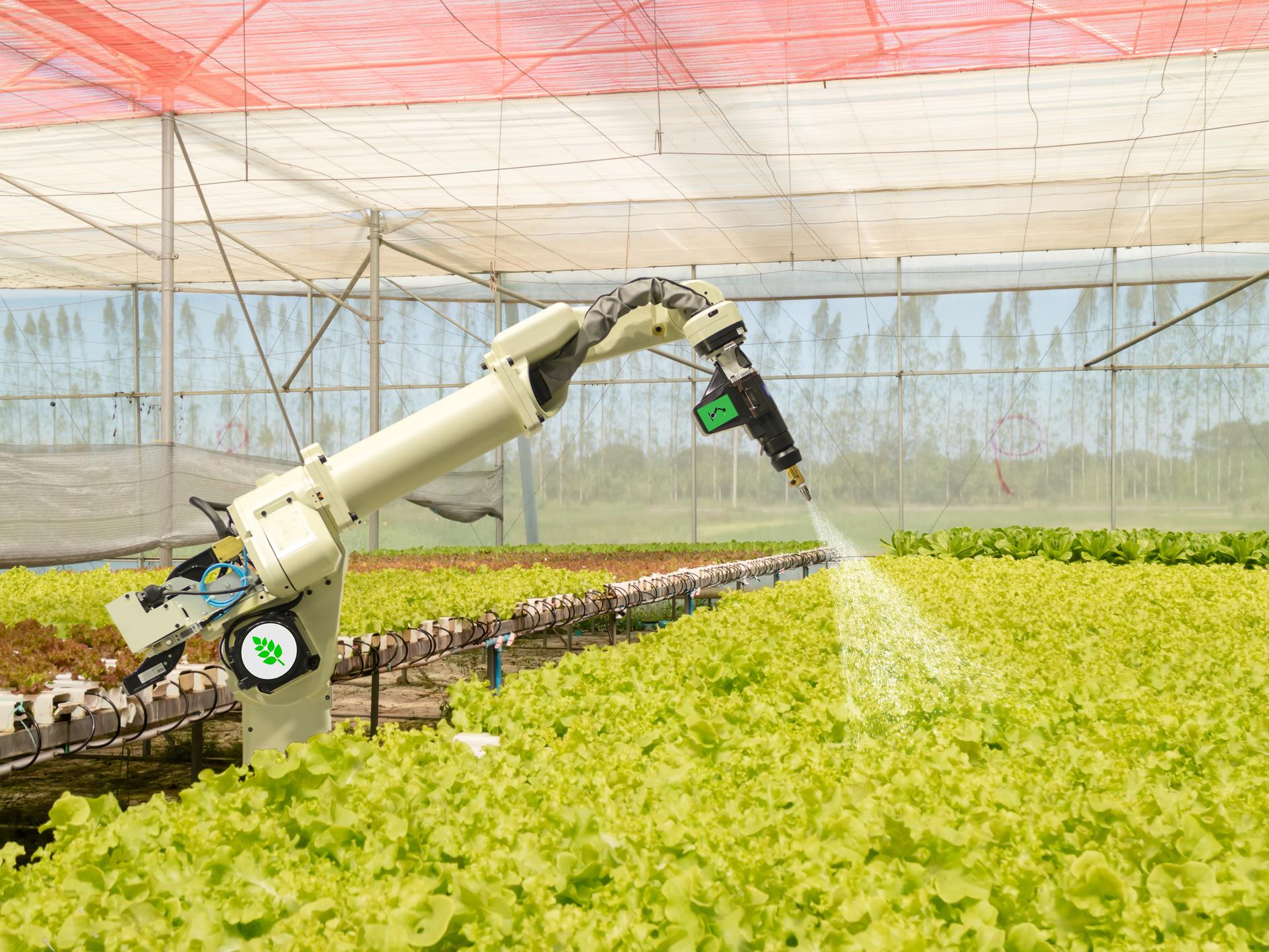 SRC using AI to nutrient plants efficiently (Source : SRC)