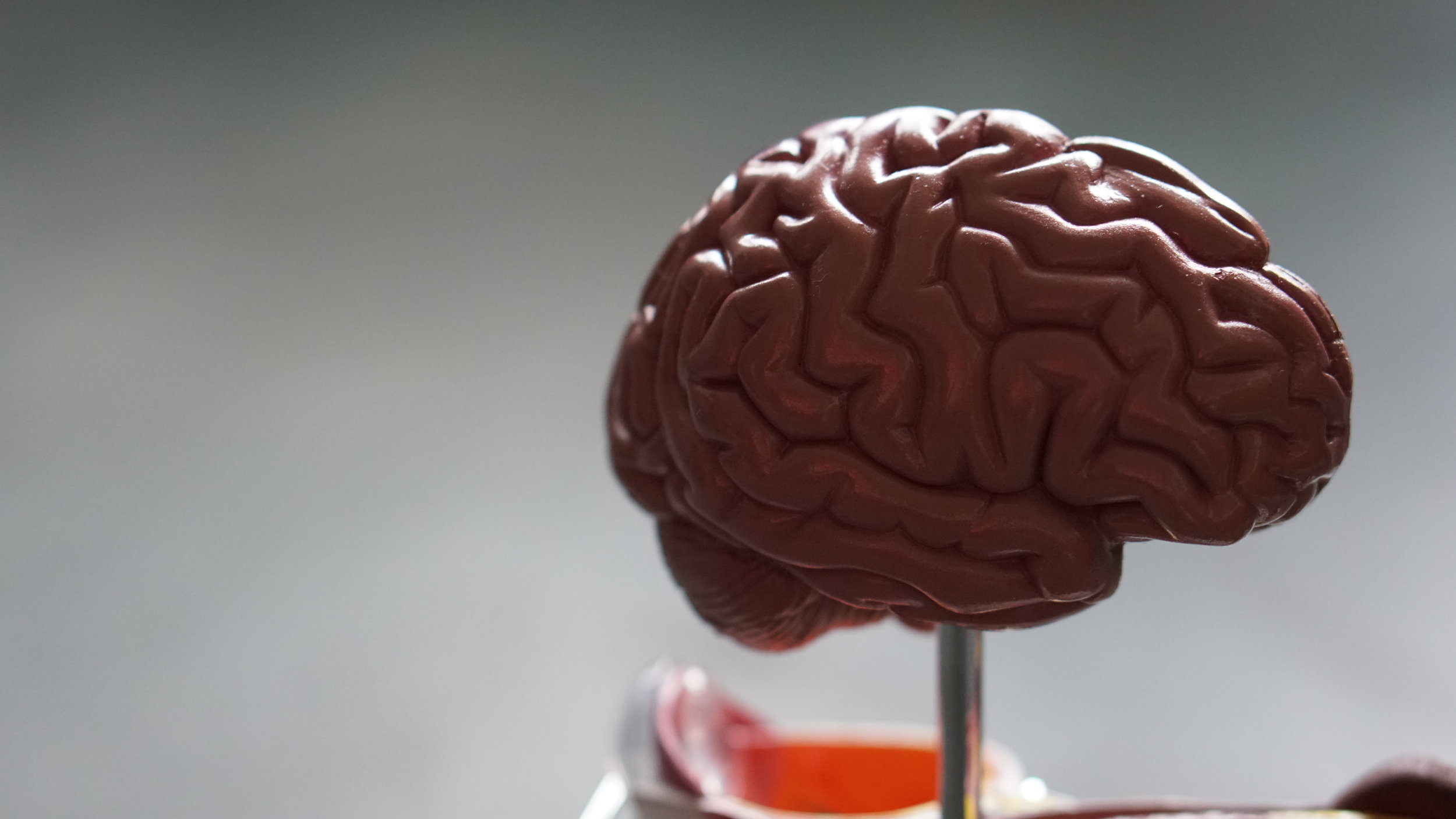Neurons work by passing electronic impulses through the brain; these signals can be read and can potentially be used to read your mind.