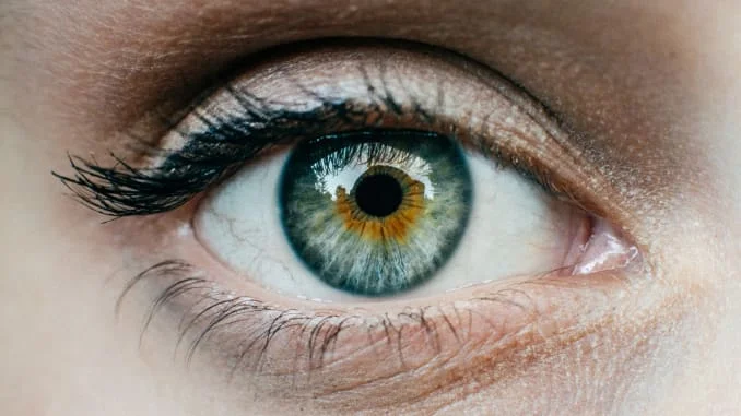 Artificial Intelligence Could Stop You From Going Blind?