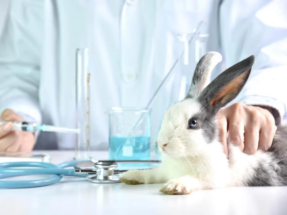 Ending Animal Testing With Biosimulation Through AI