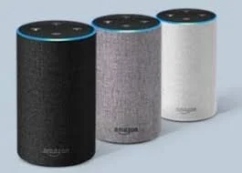 Racial Divide in Speech Recognition Systems