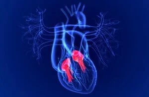 How Does COVID-19 Affect The Heart - and How Could AI Help?