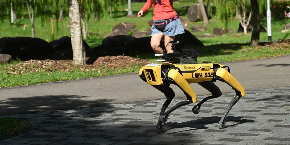 The Robot Dog That is Enforcing Social Distancing