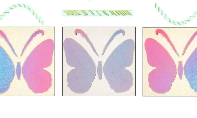 Robots Now Have Chameleon Skin?