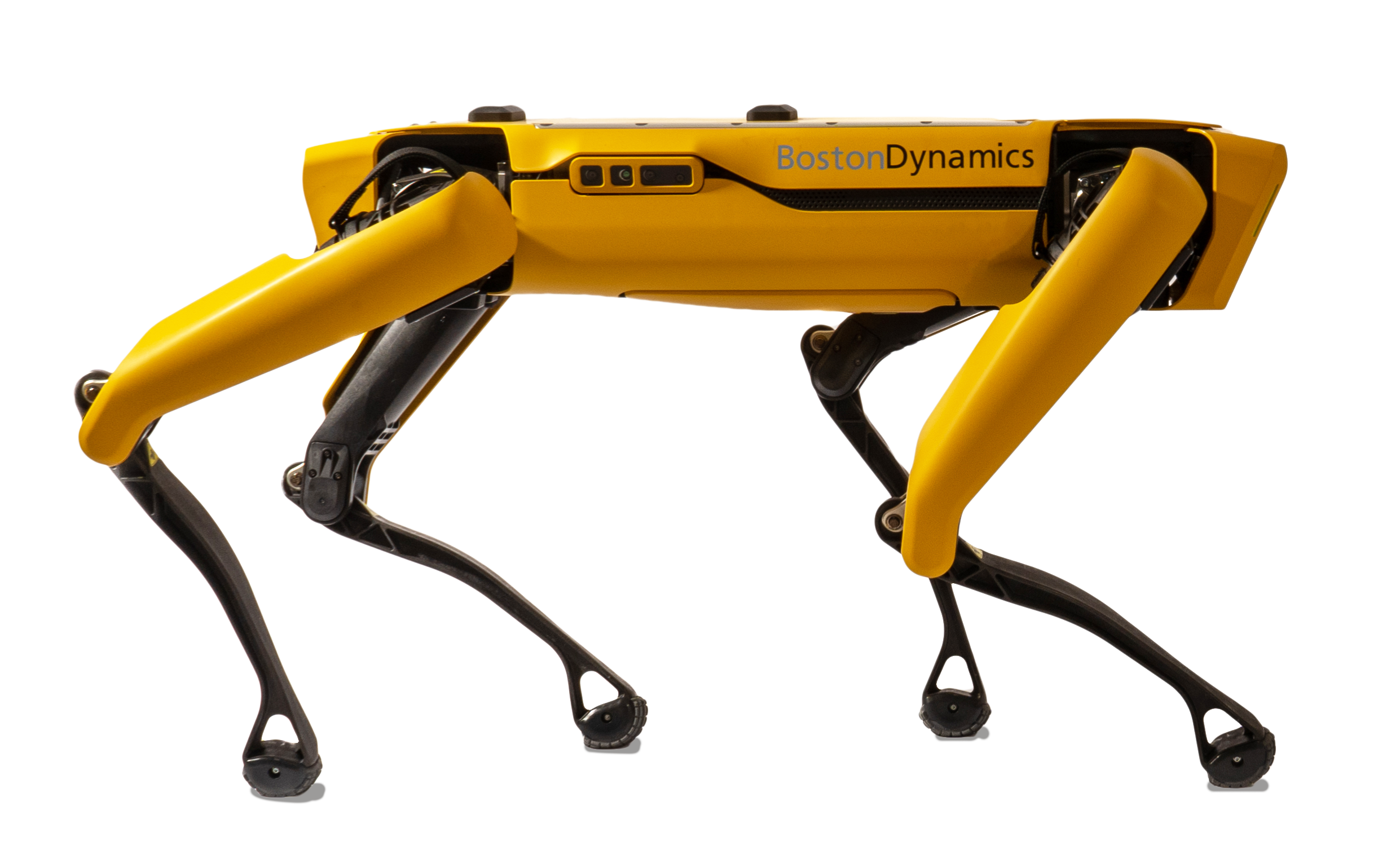 Companies Can Now Purchase Spot for 74,500$