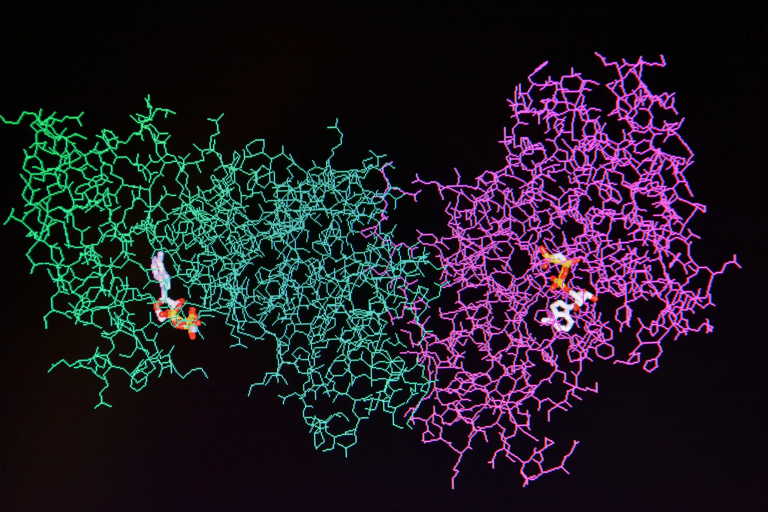 Researchers Reveal Recipe for Protein Compositon