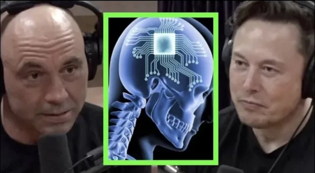 Joe Rogan and Elon Musk talking about Neuralink.  Credit: JRE Clips YouTube channel