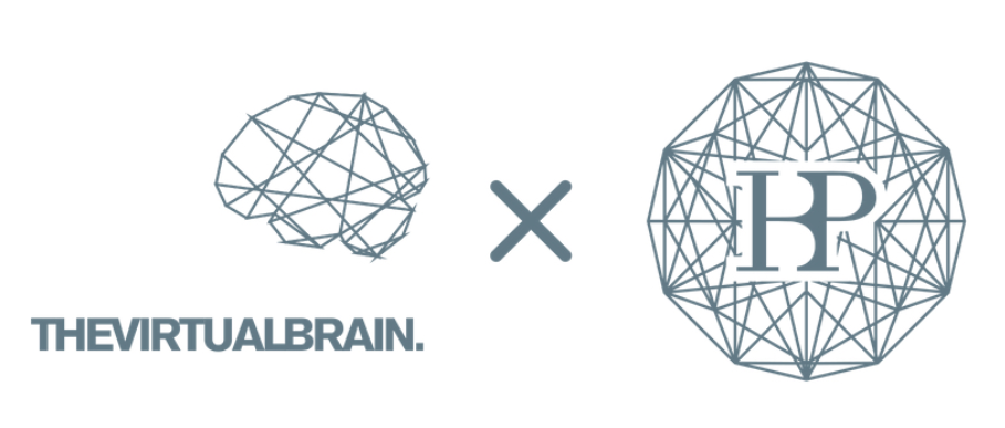 The Virtual Brain