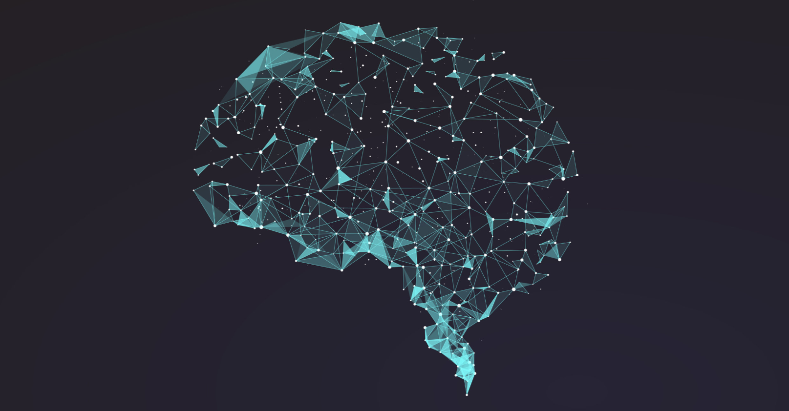 Neo.Neocortex();