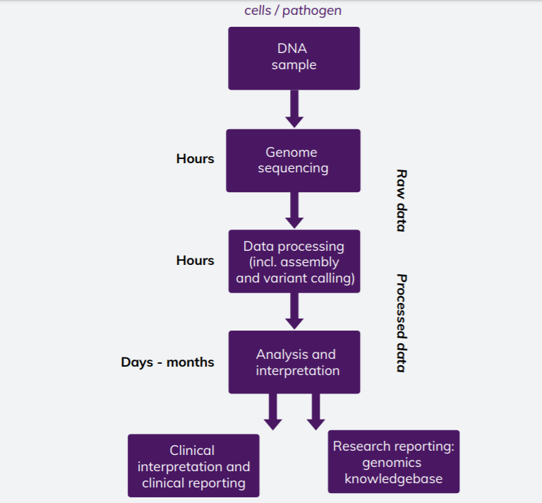 Figure 1:  the steps of genomic data processing, taken from Cambridge University