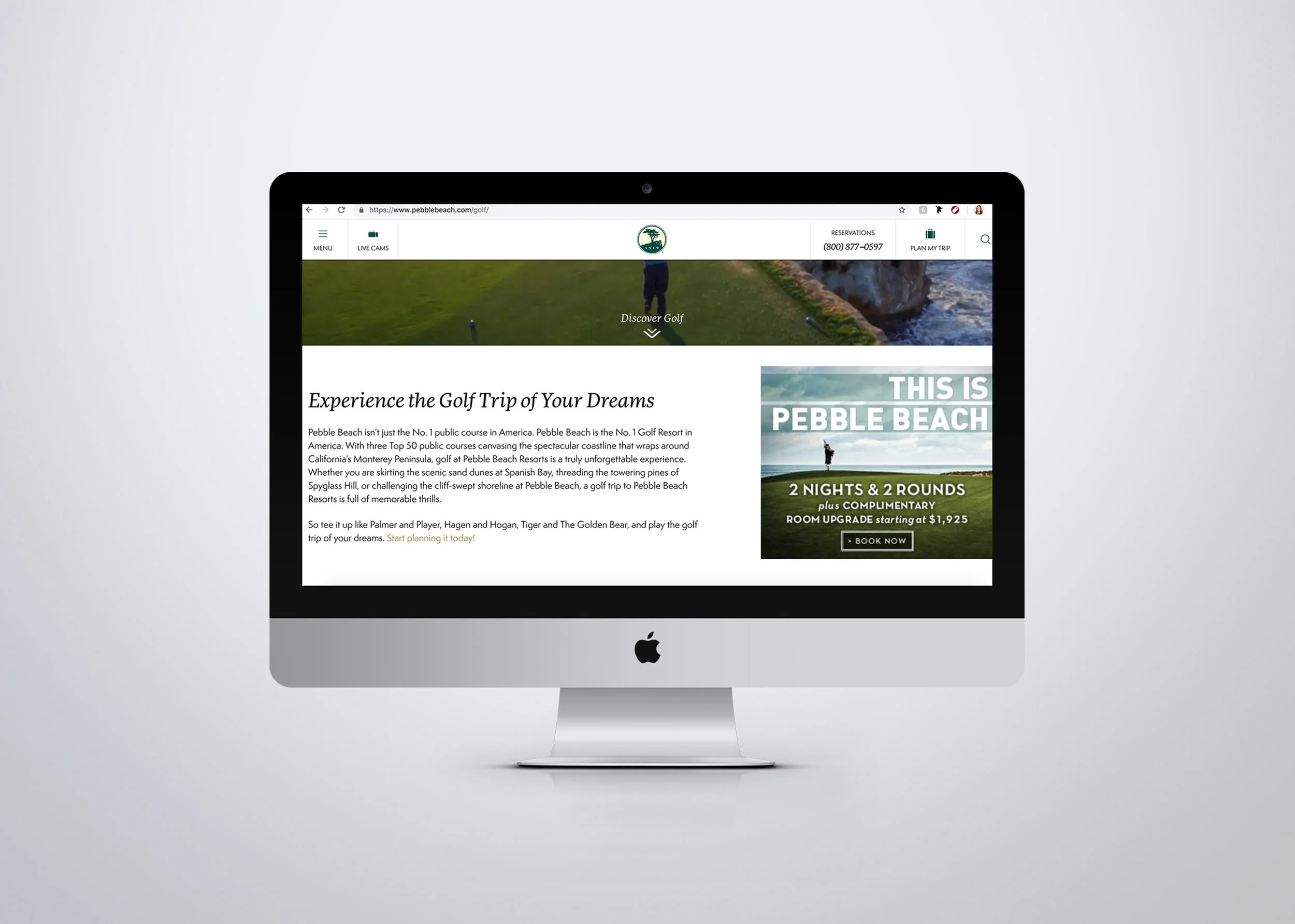 Campaigns / Social Media