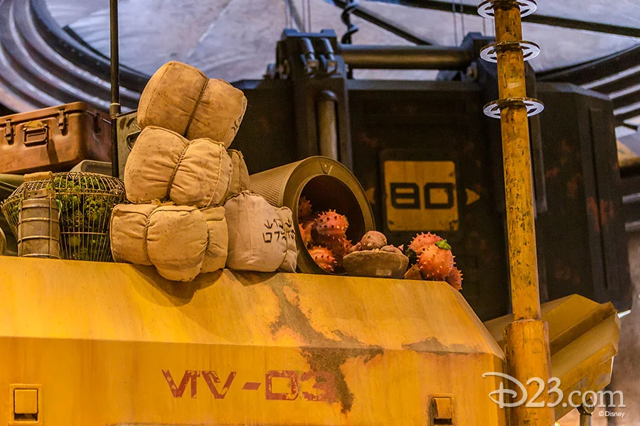 ©Disney Parks