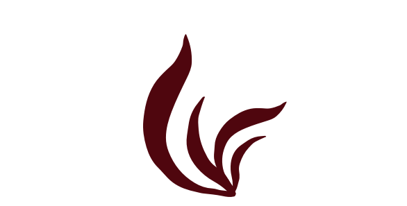 Nori Icon.png